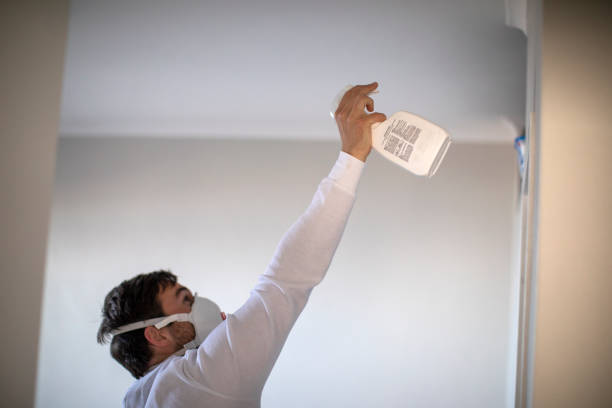 Best Mold Testing and Inspection Services in Escondido, CA